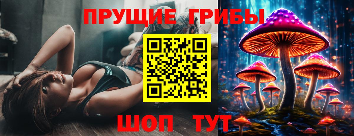 Магадан  купить закладку  Вход с VPN  Галлюциногенные грибы MAGIC MUSHROOMS 
