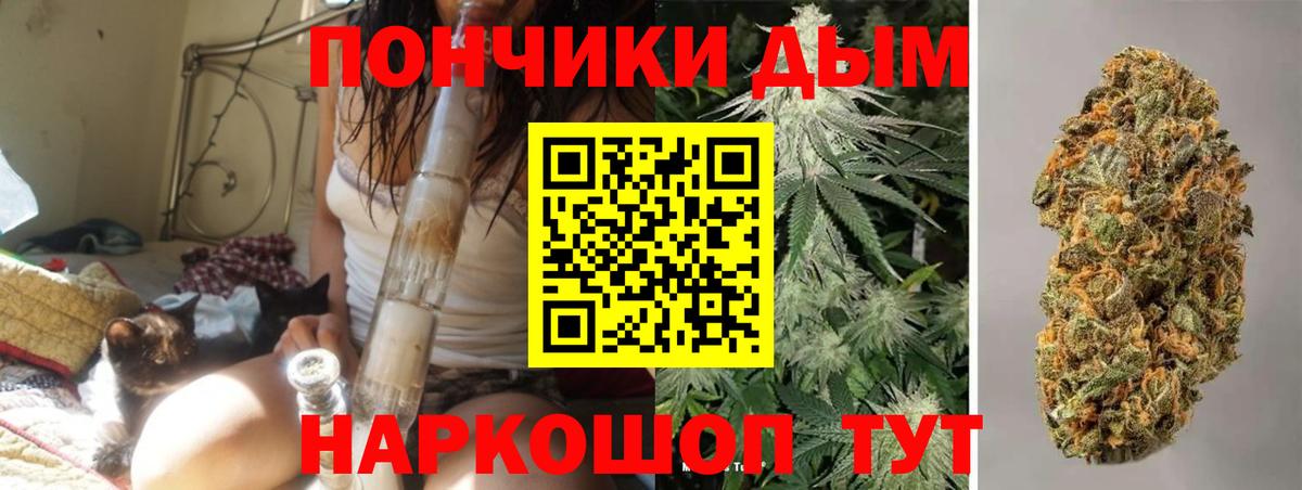 МАРИХУАНА гибрид Магадан